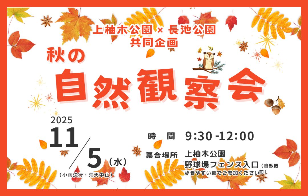 11/5(水)開催!秋の自然観察会のご案内
