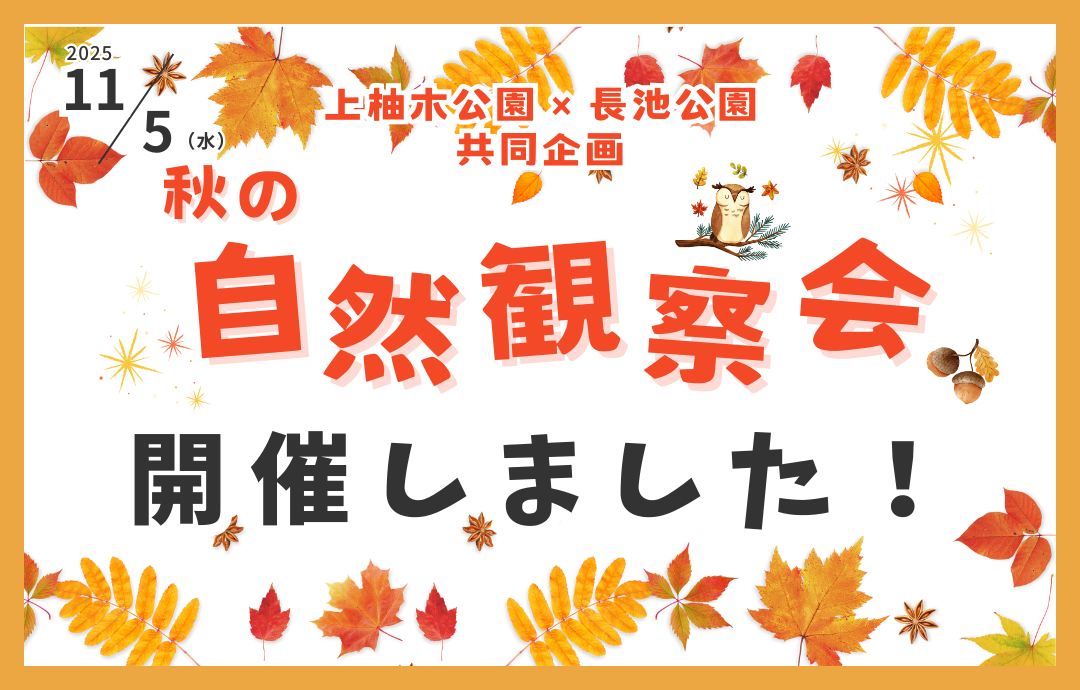 11/5(水)秋の自然観察会を開催しました