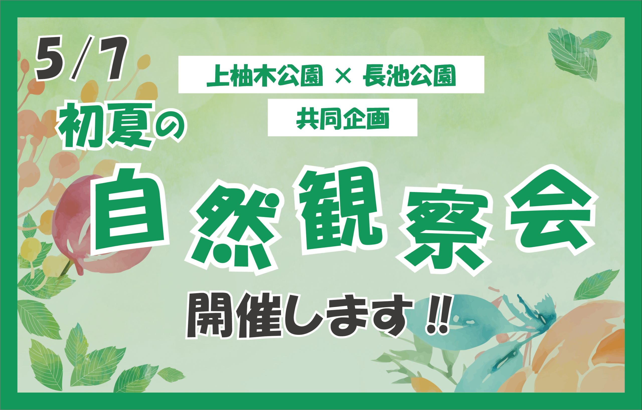 5/7(木）初夏の自然観察会開催