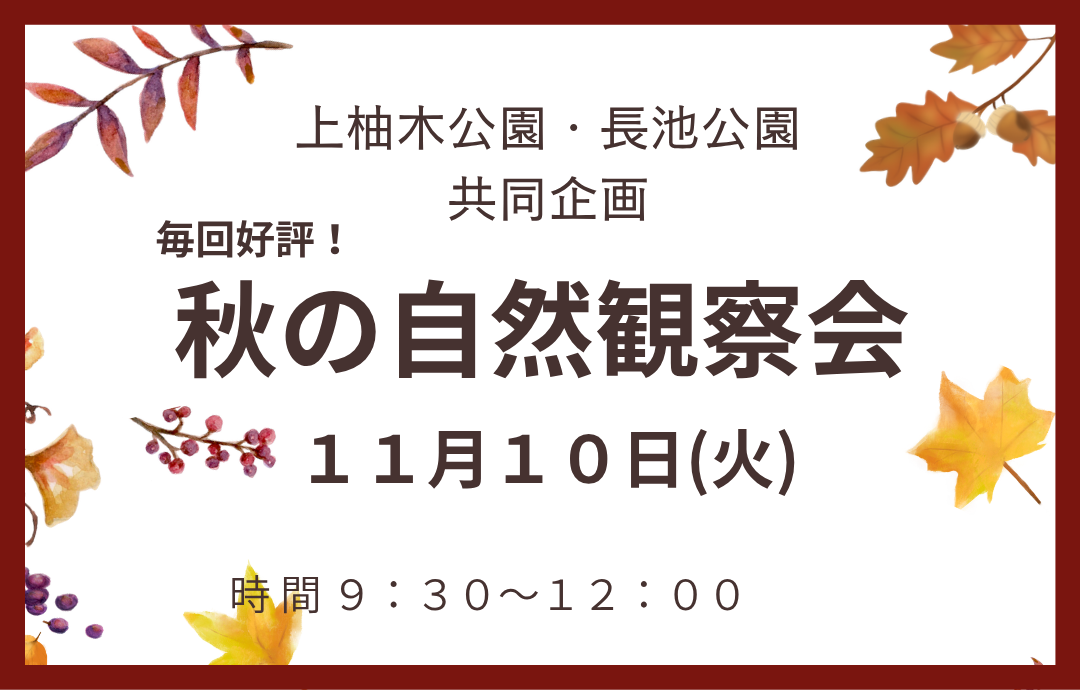11/10(火)秋の自然観察会開催します🍁